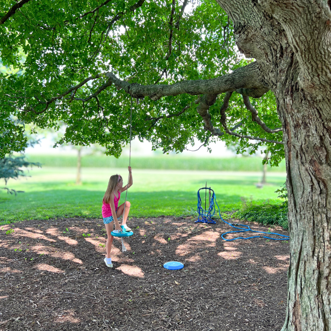 Girl playing on a tree rope swing hanging from a large old sugar maple tree.